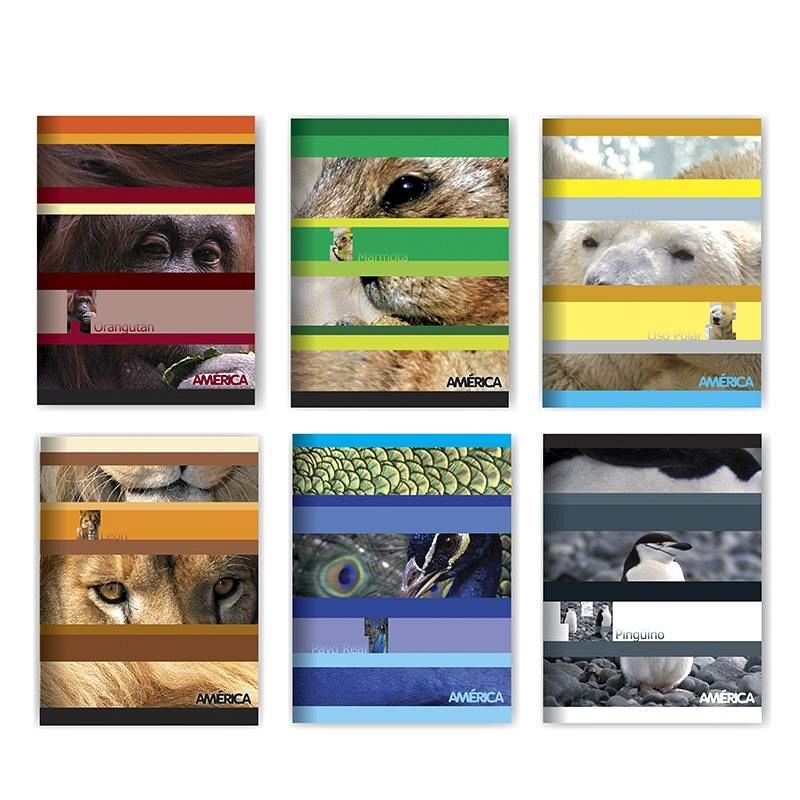 CUADERNO AMERICA T/F X48H CUADRICULADO (238552)