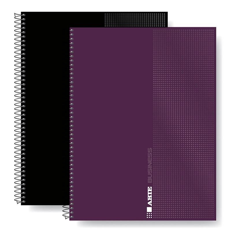CUADERNO ARTE 16 X21 BUSINESS X120H RAYADO (334003)