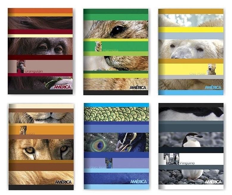 CUADERNO AMERICA T/F X48H RAYADO (238544)