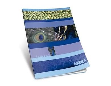 CUADERNO AMERICA T/F X86H CUADRICULADO (239550)