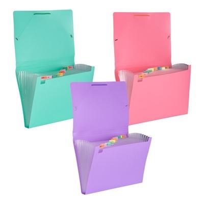 CARPETA PAGODA CON 5 DIVISIONES V/COLORES.