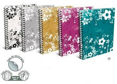 CUADERNO ARTE UNIV.BLOOM 29.7 X84H RAYADO (331041)