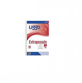 FOLIO LIGGO OFICIO EXTRAPESADO X 100U. (350-0110)