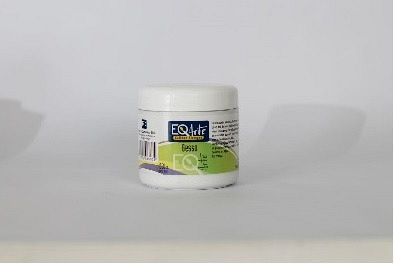 GESSO EQ ARTE POTE 200CC