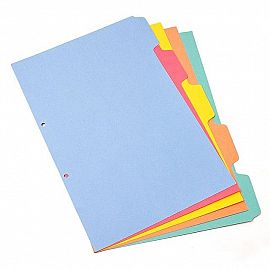 SEPARADOR HASENAUER 5 POSICIONES ESCOLAR COLOR X50U C/U (T14-X50)