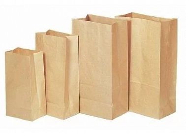 BOLSA KRAFT MARRON FM5 200X110X300 50U C/U.