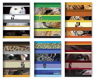 CUADERNO AMERICA T/F X24H LISO (267637)