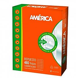 REPUESTO ESCOLAR AMERICA X480 H CUADRICULADO (408013)