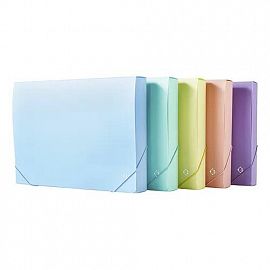 CAJA ARCHIVO LAMA 2CM PVC PASTEL A4 (DC402CA4)