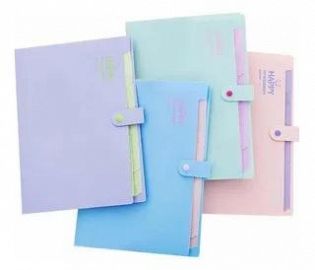 CARPETA PAGODA CON 5 DIVISIONES PASTEL.